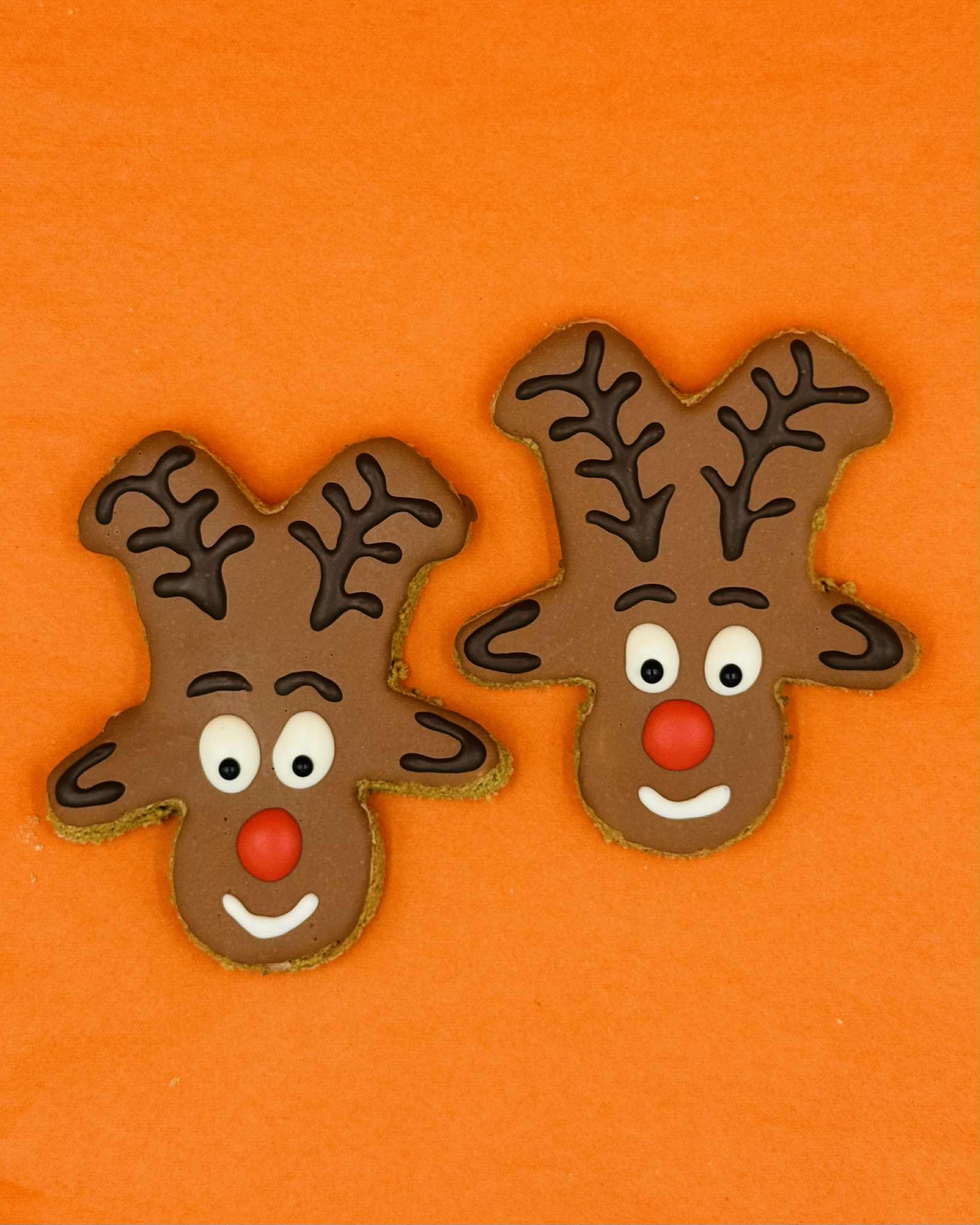 Seasonal Dog Treats